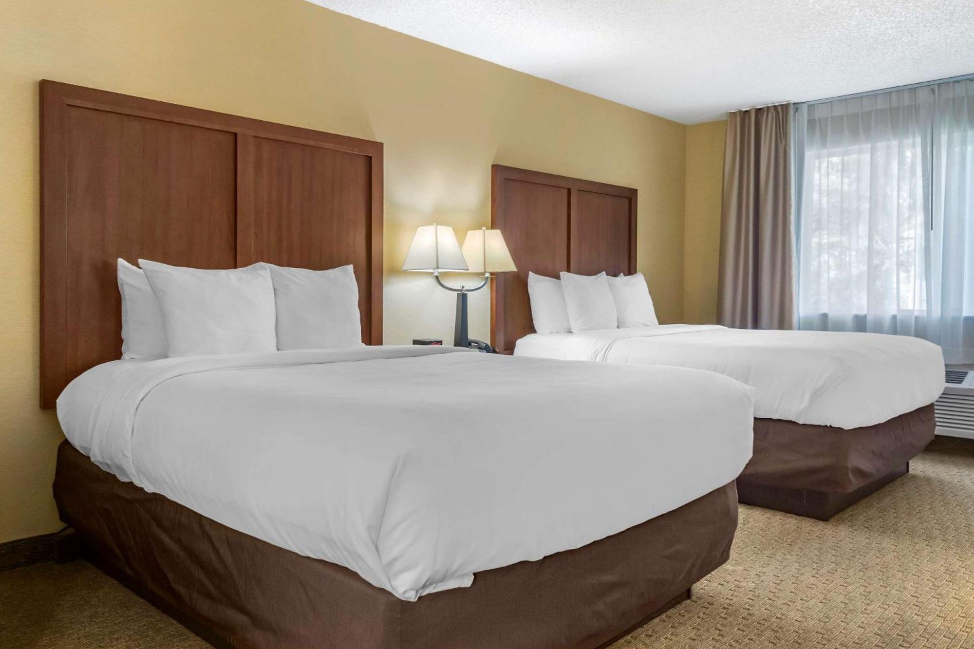 Comfort Inn & Suites Bothell - Seattle North Zimmer foto